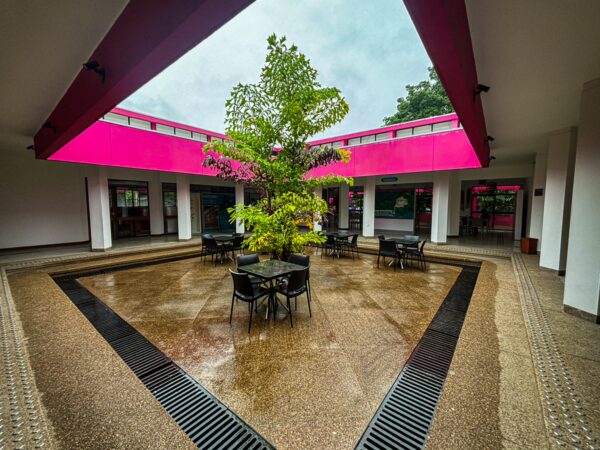 Vibrant pink accents frame the courtyard of the ethnographic museum, featuring a central tree and outdoor seating in Leticia, Amazonas, Colombia.