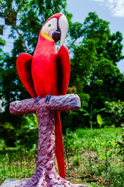 Bright red macaw sculpture stands prominently on a perch surrounded by lush greenery in Puerto Nariño, Amazonas, Colombia.