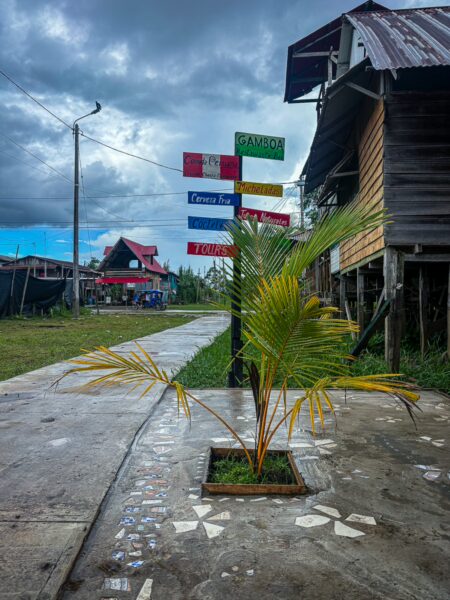 Colorful directional signs stand along a pathway in Santa Rosa, Amazonas, Peru, with a small palm plant in the foreground.