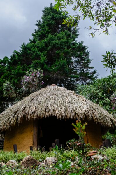 Traditional thatched hut surrounded by lush greenery and trees in Arví Park, Medellín, Antioquia, Colombia.