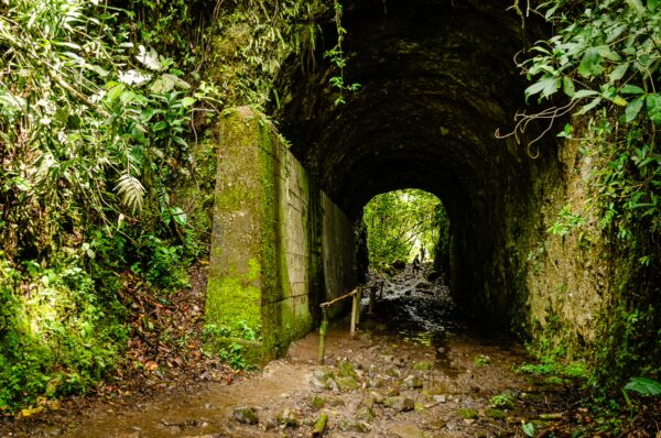 Lush greenery and moss-covered stones frame the narrow path leading through the tunnel at Santa Rita Waterfalls, Salento, Quindio.