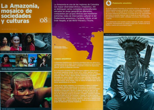 Ethnographic displays at the Leticia Amazonas Museum showcase vibrant cultural exhibits and traditional attire from the Amazon region.