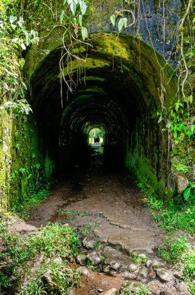 Lush greenery frames the entrance of a moss-covered tunnel leading to the Santa Rita Waterfalls in Salento, Quindio, Colombia.