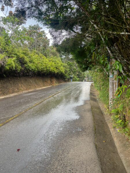 A winding road in Arvi Park, Medellín, bordered by lush greenery and wet pavement glistening under a cloudy sky.