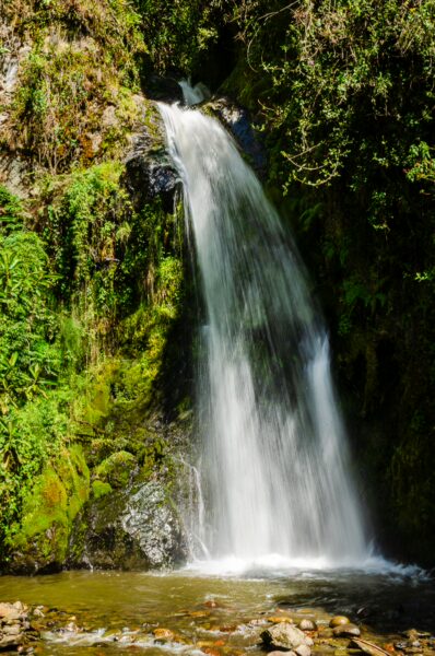 A cascading waterfall surrounded by lush greenery in Carbonera Valley, Quindio, Colombia, creates a tranquil scene.
