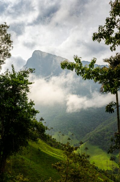 Cocora Valley showcases lush green hills and towering mountains, with mist swirling among trees under a cloudy sky in Quindío, Colombia.