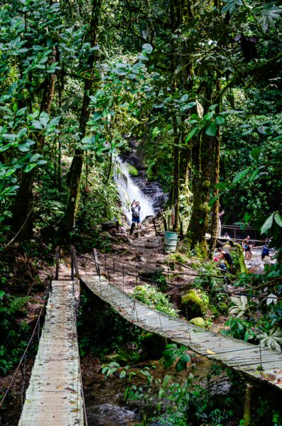 Lush greenery surrounds the Santa Rita Waterfalls in Salento, Quindío, with a rustic wooden bridge leading to the cascading water.