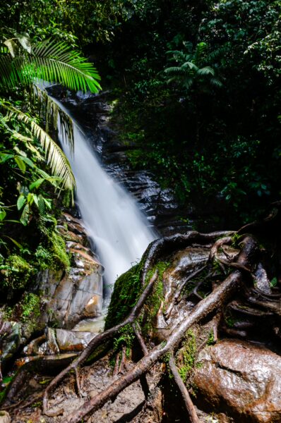 Tranquil Santa Rita Waterfalls cascade over stones, surrounded by lush greenery in Salento, Quindío, Colombia.