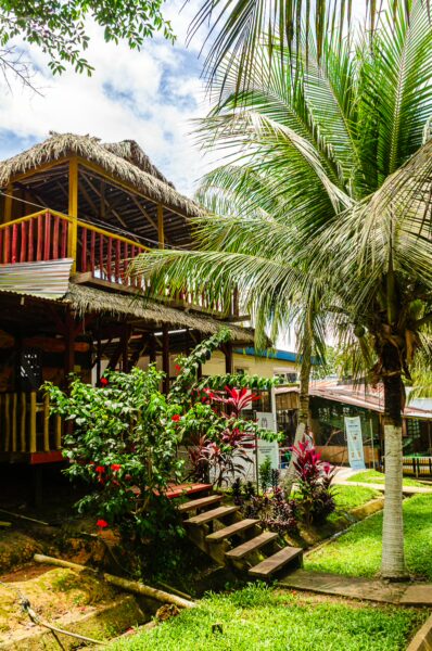 Relaxing tropical scene in Puerto Nariño, Amazonas, Colombia, featuring a thatched-roof hut surrounded by lush greenery and vibrant plants.