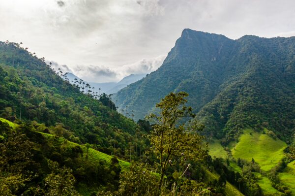 Lush green hills and dramatic mountains of Cocora Valley in Quindío, Colombia, under a cloudy sky with hints of sunlight.