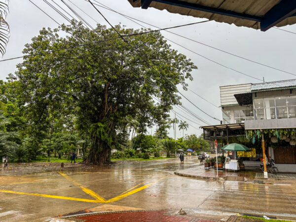 Lush greenery surrounds Parque Santander in Leticia, Amazonas, Colombia, with a large tree and wet streets reflecting the cloudy sky.