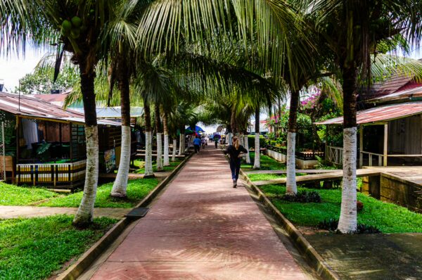 Lush palm trees line a pathway in Puerto Nariño, Amazonas, Colombia, leading to colorful buildings and greenery on either side.