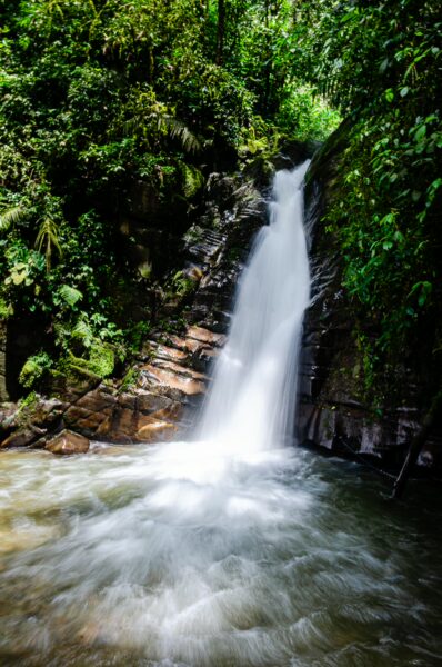 Majestic Santa Rita Waterfalls cascade over rocky cliffs, surrounded by vibrant green foliage in Salento, Quindío, Colombia.