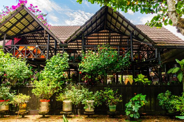Colorful plants in pots surround a wooden structure with a thatched roof, vibrant flowers cascading down in Puerto Nariño, Amazonas, Colombia.