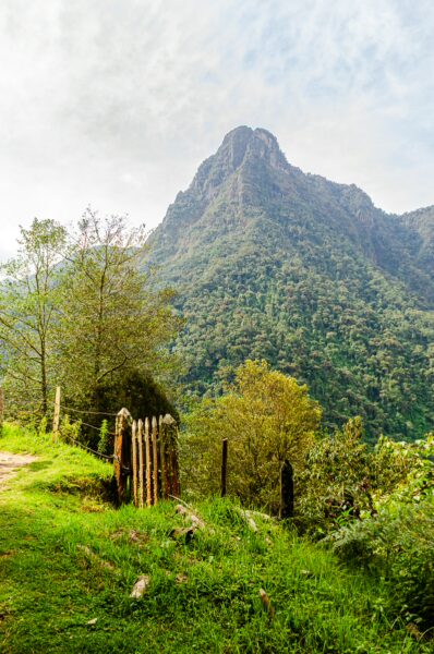 Lush green landscape with rolling hills and a prominent mountain in Cocora Valley, Quindío, Colombia, framed by trees and a rustic fence.