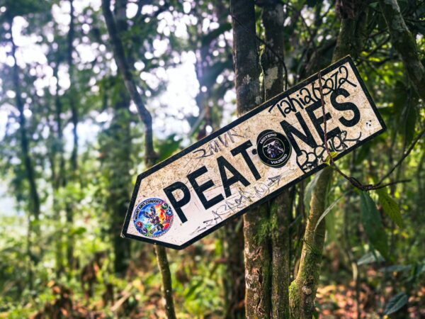 Weathered signpost labeled "Peatones" surrounded by lush green foliage, indicating a path near Santa Rita Waterfalls in Salento, Quindío.