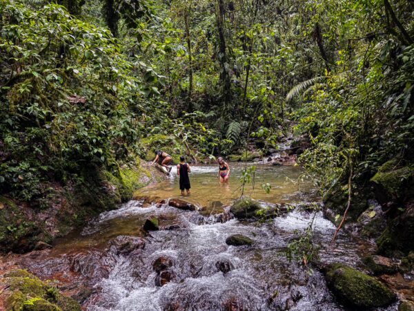 Refreshing Santa Rita Waterfalls in Salento, Quindío, features lush greenery and visitors wading through a crystal-clear stream.