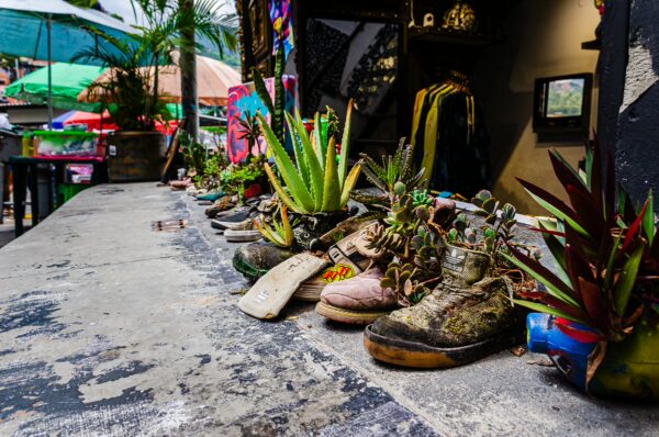 Creative shoes adorned with plants line a ledge in Comuna 13, Medellín, showcasing vibrant colors and local artistry.