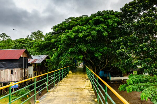 Lush green trees frame a pathway leading through Leticia, Amazonas, Colombia, with a vibrant yellow railing under a cloudy sky.