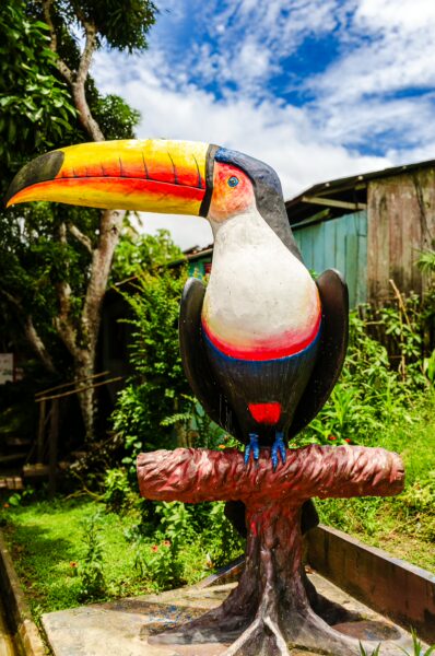 Colorful toucan sculpture stands on a tree stump surrounded by lush greenery in Puerto Nariño, Amazonas, Colombia.