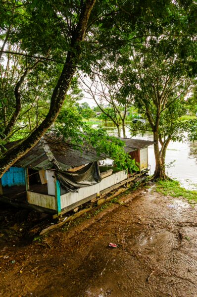 Rustic wooden house with a tin roof nestled among vibrant green trees by the Amazon River in Leticia, Colombia.