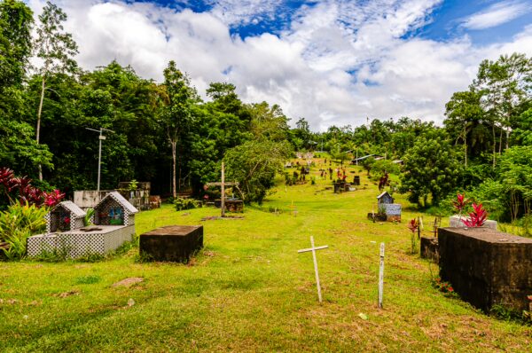 Lush greenery surrounds a serene cemetery in Puerto Nariño, Amazonas, Colombia, with colorful flowers and wooden crosses.