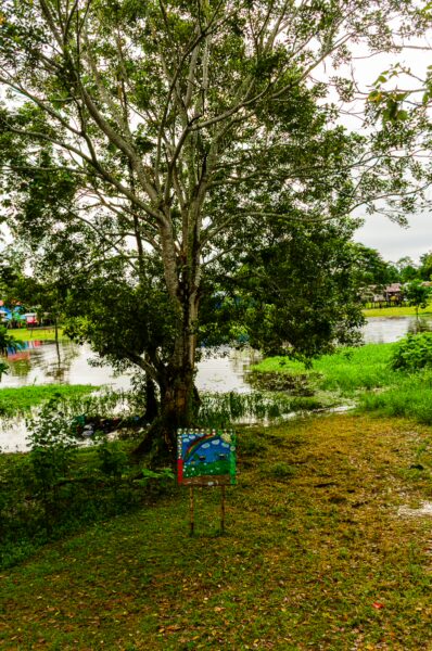 Lush green landscape with a large tree and a colorful sign by the water, showcasing the natural beauty of Leticia, Amazonas, Colombia.