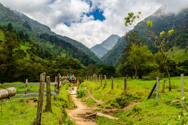 Lush green hills and mountains frame a winding path in Cocora Valley, Quindío, Colombia, dotted with trees and grazing horses.