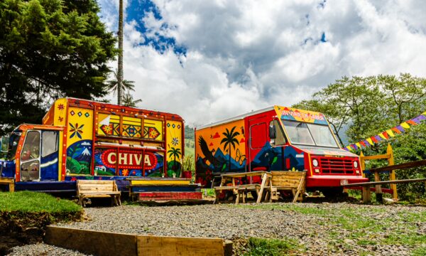 Vibrant Chiva buses in Cocora Valley, Quindío, Colombia, surrounded by lush greenery and colorful decorations under a bright sky.