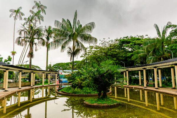 Lush greenery surrounds a tranquil pond in Parque Santander, showcasing vibrant palm trees and a serene atmosphere in Leticia, Amazonas.