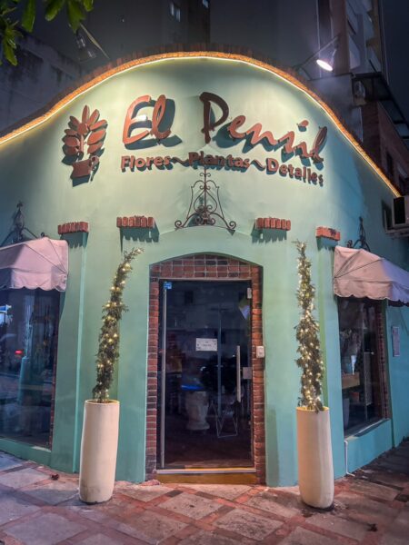 Charming flower shop in Bucaramanga, Colombia, featuring a teal exterior adorned with decorative plants and warm lights.