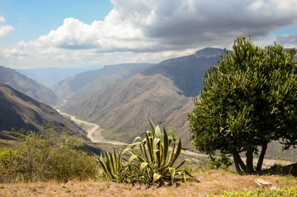 Chicamocha Canyon reveals a stunning landscape with steep mountains, lush vegetation, and a winding river below.
