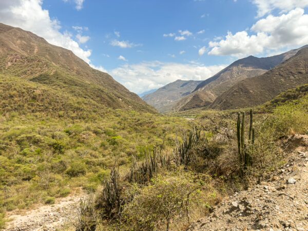 Expansive view of Chicamocha Canyon in Santander, Colombia, featuring rugged mountains and lush greenery under a bright blue sky.