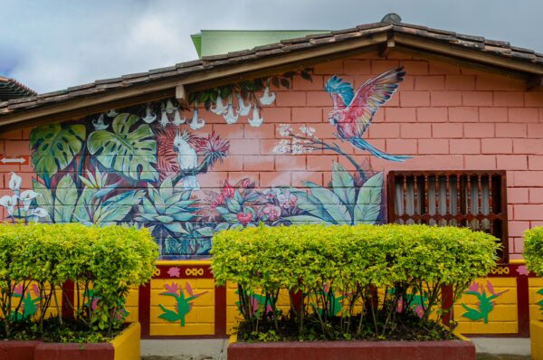 Colorful Guatapé house wall with tropical mural, parrot artwork, and trimmed shrubs in front