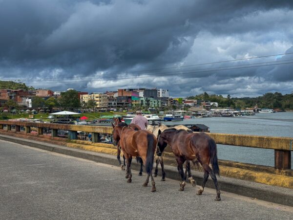 Horses walk along a bridge in Guatapé, with colorful buildings and boats visible along the waterfront under a dramatic sky.
