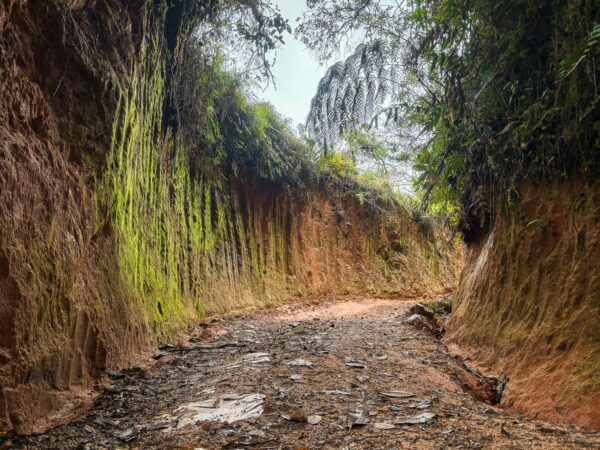 Mirador San José, Guatapé, Antioquia, Colombia features a narrow, rugged path flanked by lush green walls and earthy tones.
