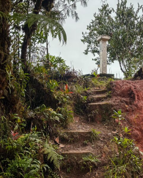 Steps lead up a grassy path at Mirador San José in Guatapé, Colombia, surrounded by vibrant greenery and tropical plants.