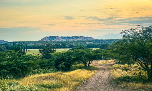 A winding dirt path leads through the lush greenery of Tatacoa Desert, Huila, Colombia, against a colorful sunset sky.
