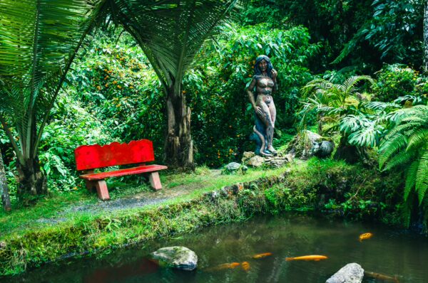 Lush greenery surrounds a serene pond with vibrant koi fish, featuring a red bench and a statue in Termales Rosa, Risaralda, Colombia.