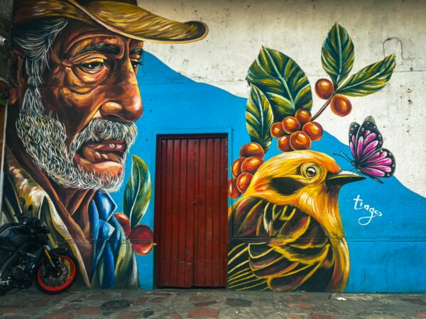 Vibrant mural featuring an elderly man, a yellow bird, and colorful coffee plant elements in Cajamarca, Tolima, Colombia.