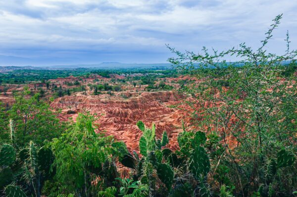 Red rock formations and lush greenery capture the beauty of the Tatacoa Desert in Huila, Colombia, under a cloudy sky.