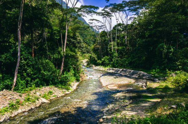 Crystal-clear Combeima River flows through lush greenery in Villa Restrepo, Tolima, Colombia, surrounded by towering trees.