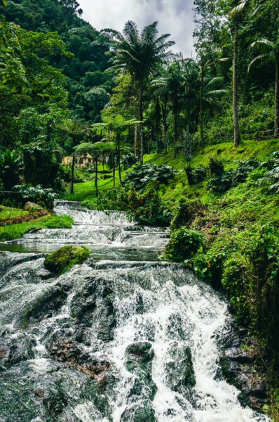 Lush greenery surrounds a cascading waterfall at Termales Rosa in Risaralda, Colombia, creating a serene and vivid tropical landscape.