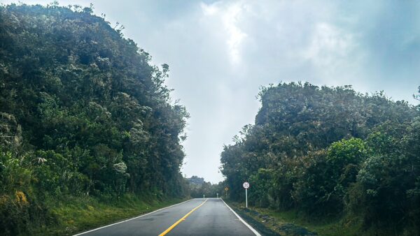 Lush greenery lines the winding road leading to Nevado del Ruiz, with a dramatic sky overhead in Tolima, Colombia.