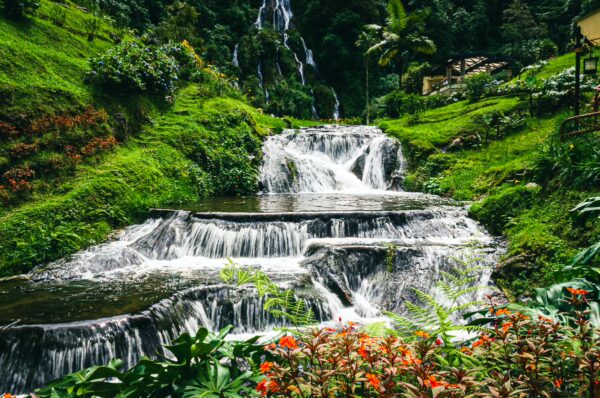 Cascading waterfalls flow over lush green terraces, surrounded by vibrant flowers in Termales de Rosa, Risaralda, Colombia.