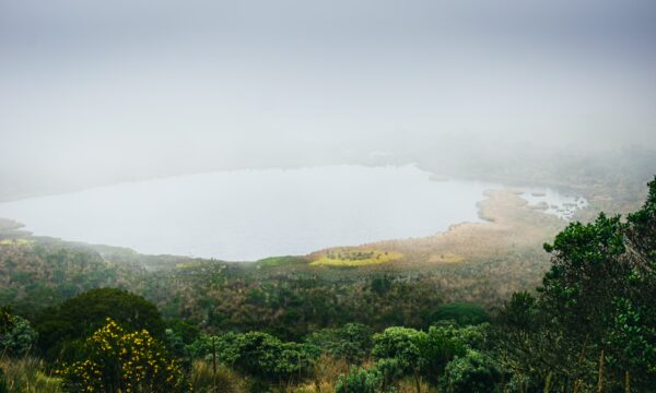 Fog envelops the serene lake at Nevado del Ruiz, surrounded by lush greenery and soft hills in Tolima, Colombia.