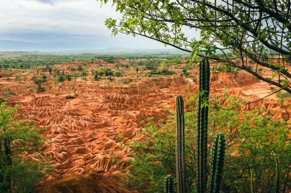 Vibrant red rock formations and green cacti showcase the unique landscape of Tatacoa Desert in Huila, Colombia.