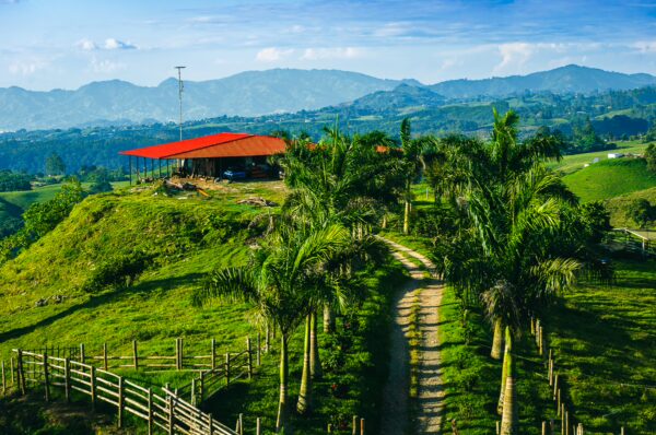 Vibrant green hills and palm trees surround a red-roofed mirador in Filandia, Quindio, Colombia, under a bright blue sky.