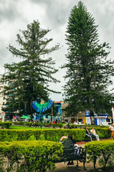 Vibrant sculptures and tall araucaria trees dominate Parque de las Araucarias in Santa Rosa de Cabal, Colombia.
