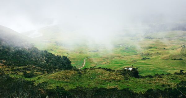 Lush green valleys and rolling hills under dense fog near Nevado del Ruiz, Tolima, Colombia, create a serene landscape.